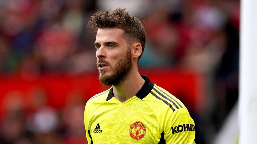 David De Gea With Great Haircut Wallpaper