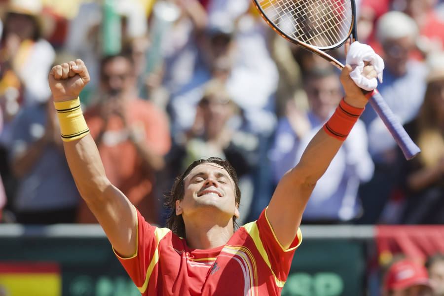 David Ferrer Fists In Air Wallpaper