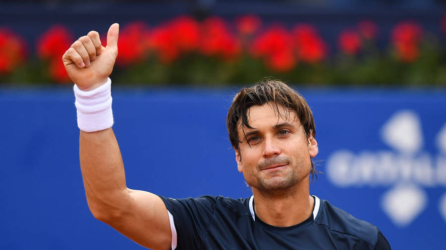 David Ferrer Thumbs Up Wallpaper