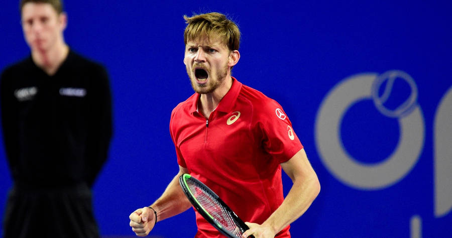 David Goffin Shouting Triumphantly Wallpaper