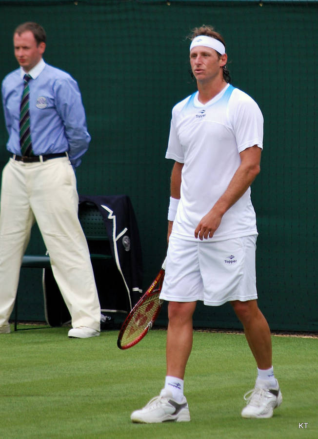 David Nalbandian Competing On A Grass Court Wallpaper