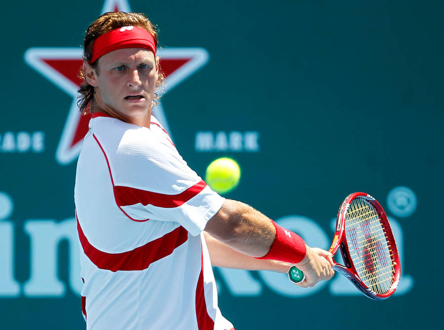 David Nalbandian Focused On Ball Wallpaper