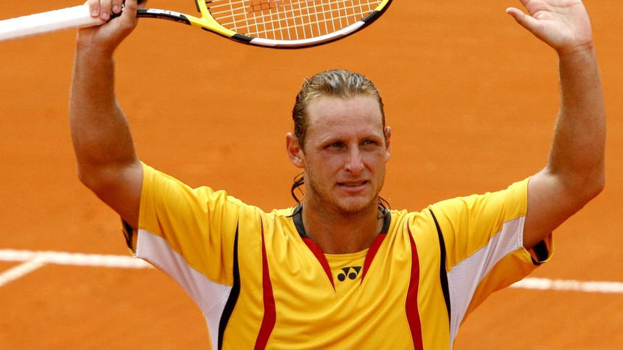 David Nalbandian Waving Wallpaper