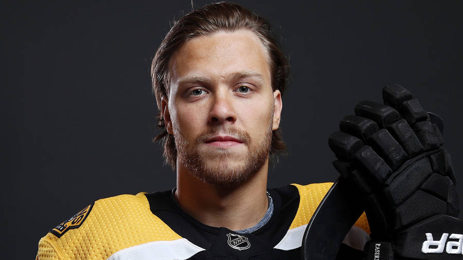 David Pastrnak Boston Bruins Headshot Portrait Wallpaper