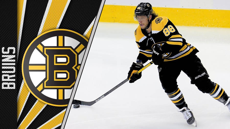 David Pastrnak Boston Bruins Right Winger Wallpaper