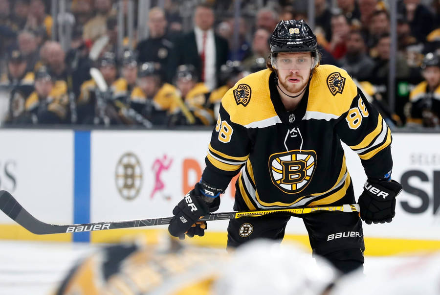 David Pastrnak Boston Bruins Vs. Colorado Avalanche Wallpaper