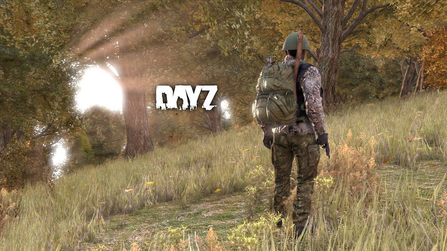 Dayz Forest In Daylight Wallpaper