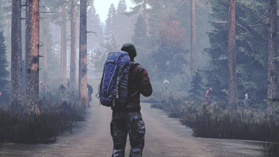 Dayz Walking Among Zombies Wallpaper