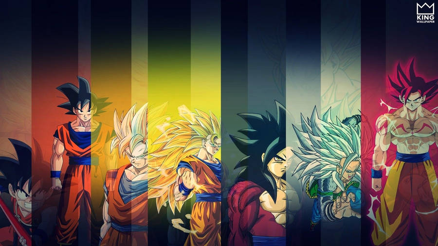 Dbz Son Goku Powerful Transformations Wallpaper