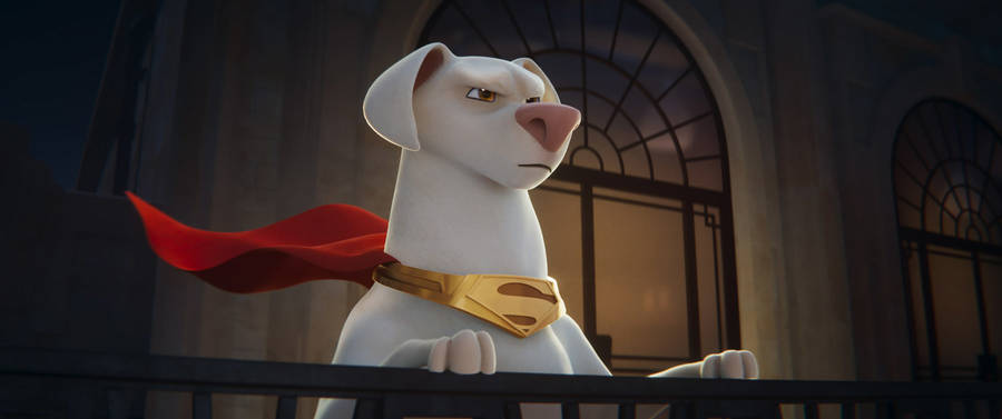 Dc League Of Super Pets Serious Krypto Wallpaper