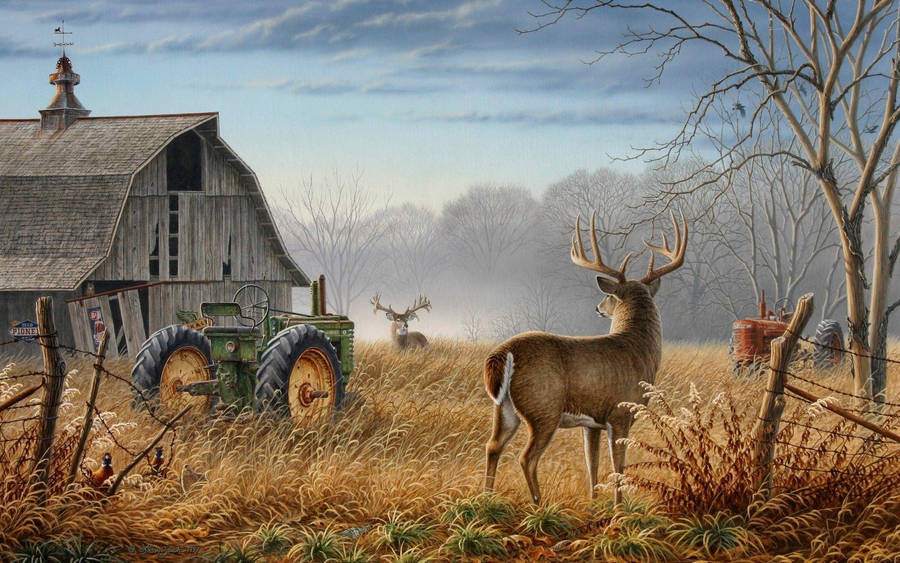 Deer For Hunting Wallpaper