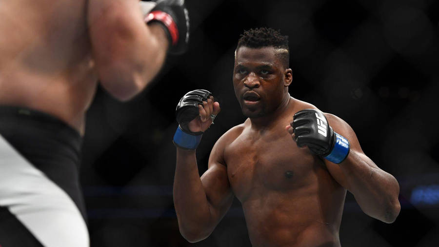 Defensive Francis Ngannou Wallpaper