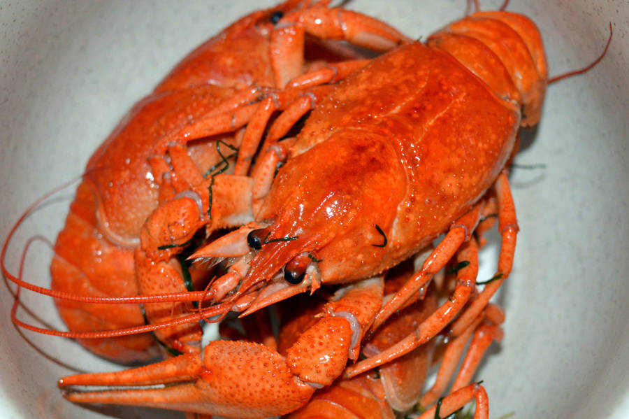 Deliciously Boiled Crayfish In A Serving Dish Wallpaper