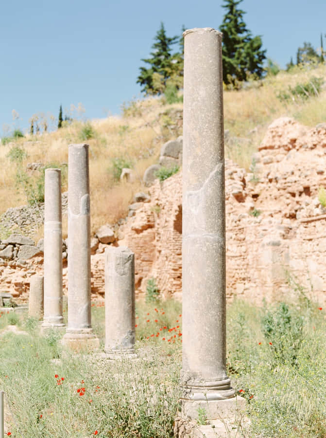 Delphi Phone Aesthetic Wallpaper