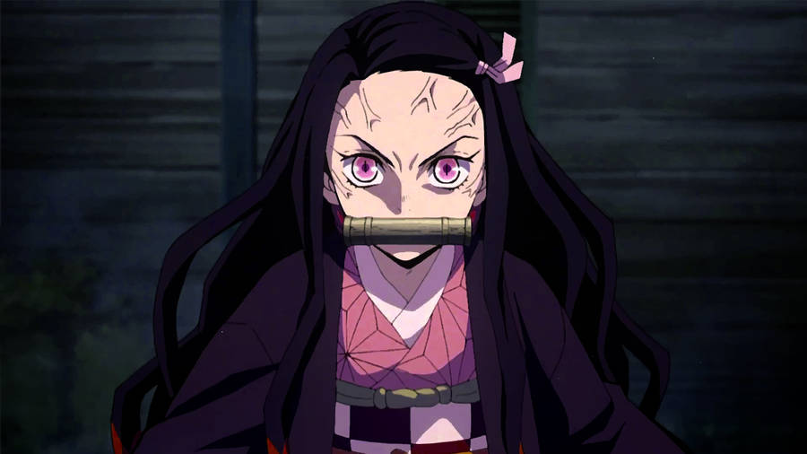 Demon Slayer Nezuko Cute Appearance Wallpaper