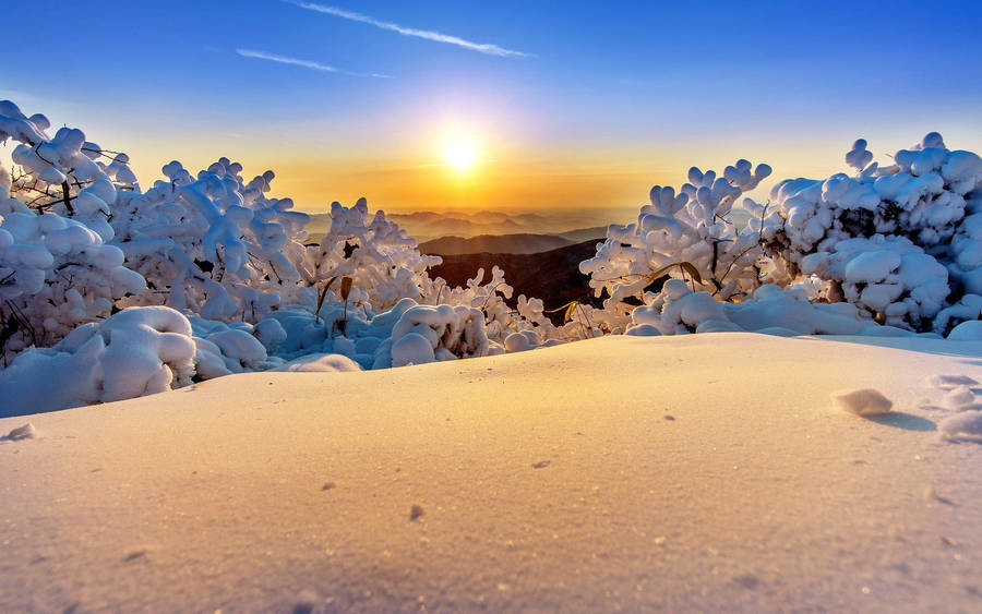 Deogyusan Park In Korea During Winter Wallpaper