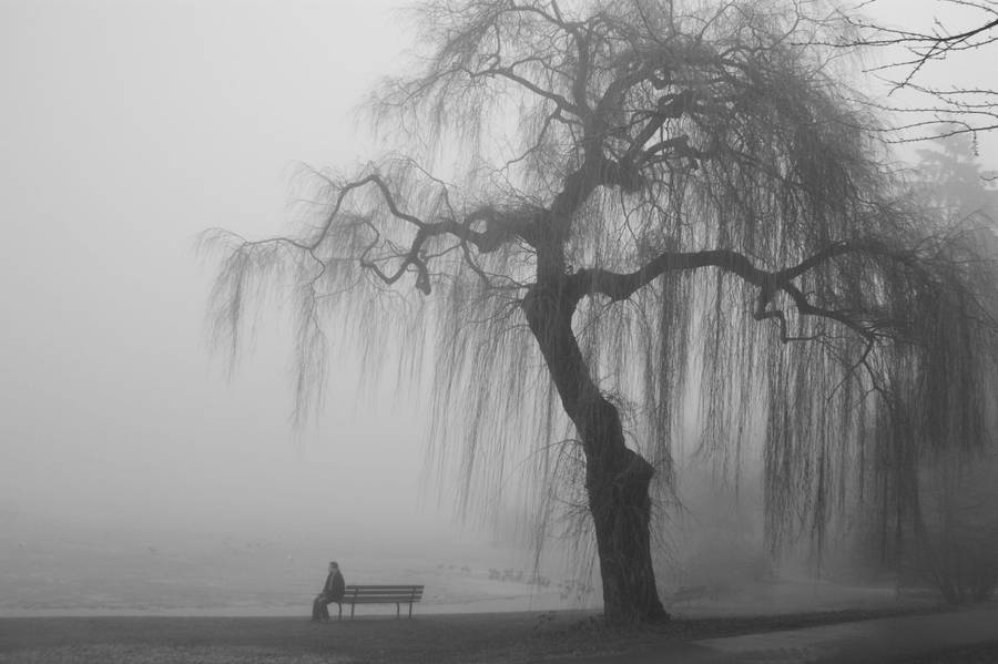 Depressed Man In Foggy Park Wallpaper