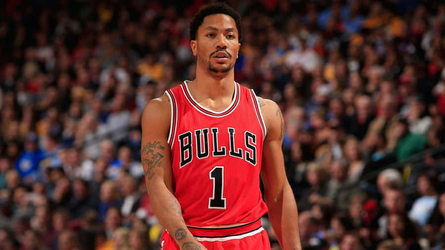 Derrick Rose, Chicago Bulls Standout Wallpaper