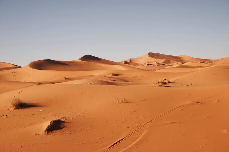 Desert Land Of Mauritania Wallpaper