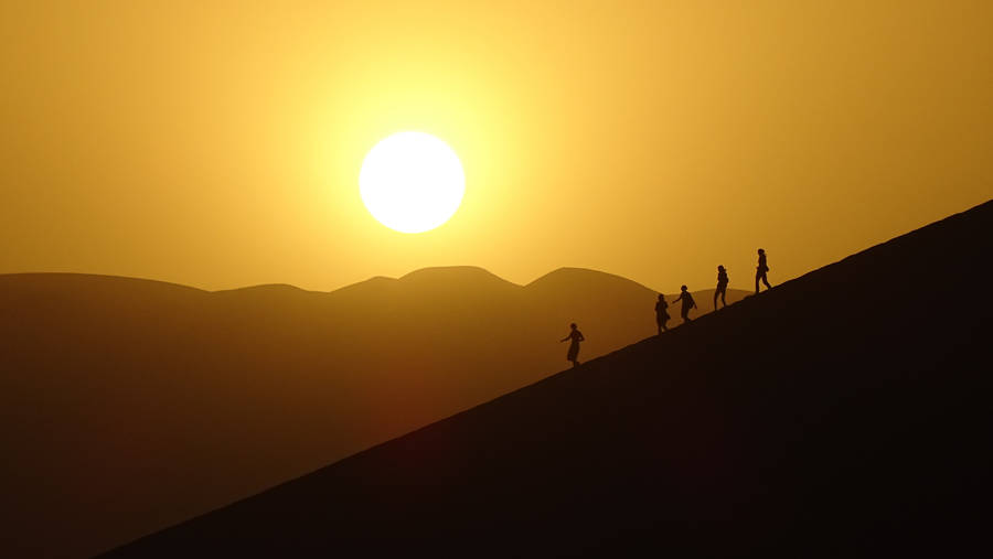 Desert Sun Visitors Wallpaper