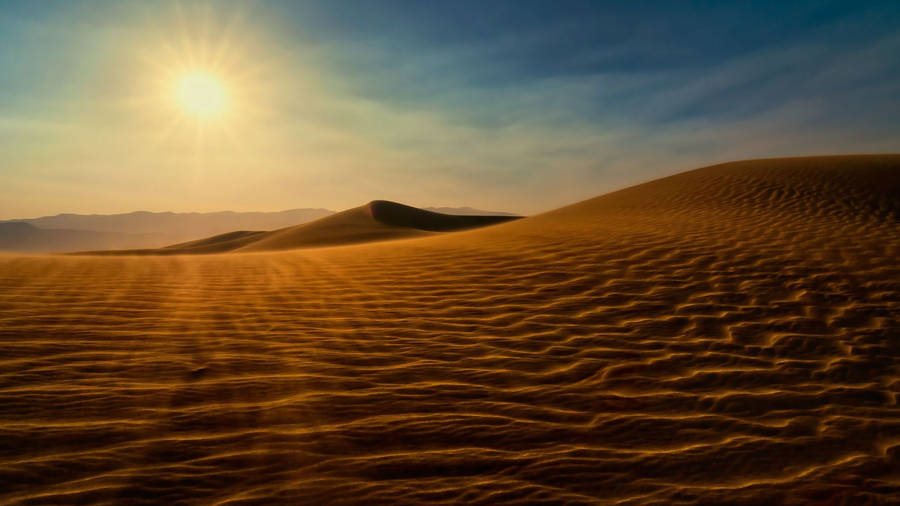 Desert Under The Sun Wallpaper