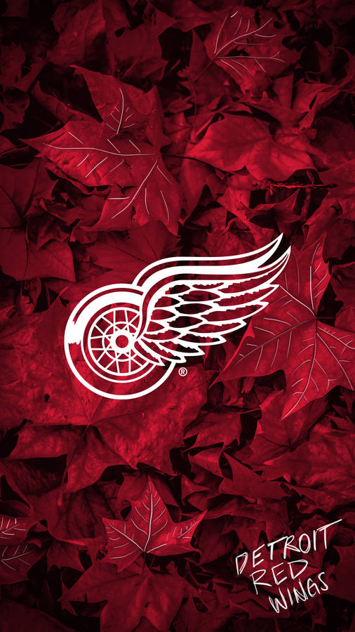 Detroit Red Wings Maple Leaves Wallpaper