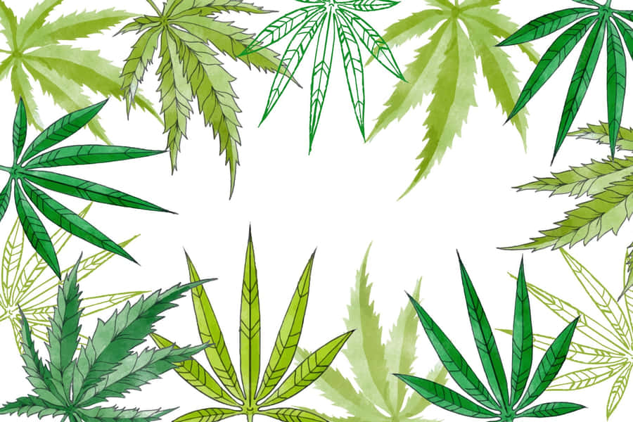 Different Designs Of Marijuana Leaf Wallpaper