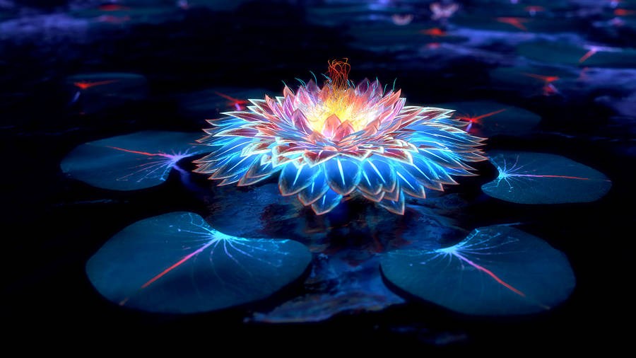 Digital Art Lotus Flower Wallpaper