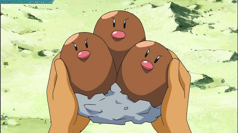 Diglett Evolution Dugtrio Held By Someone Wallpaper