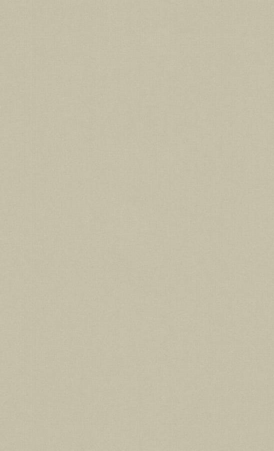 Dirty White Neutral Background Wallpaper