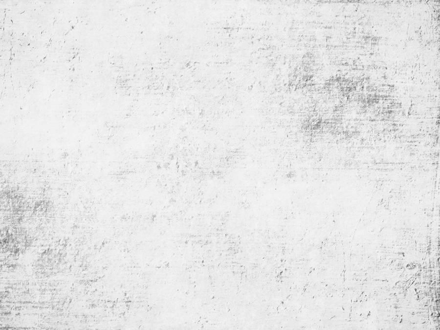 Dirty White Texture Concrete Wallpaper