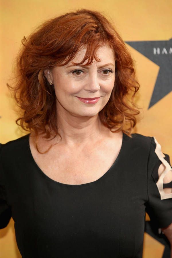 Distinguished Actress Susan Sarandon At The 2013 Toronto International Film Festival Wallpaper