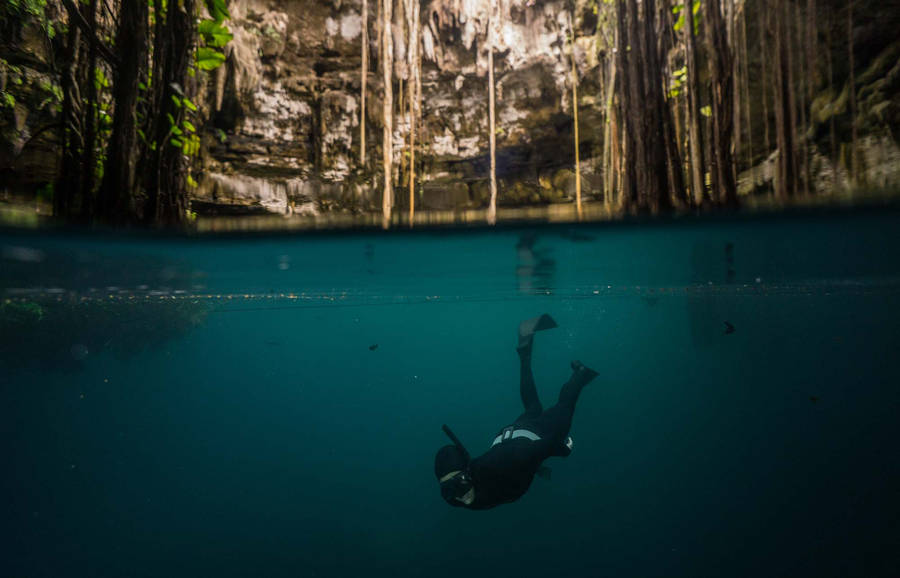 Diver Exploring The Underwater Beauty In Yucatan Wallpaper