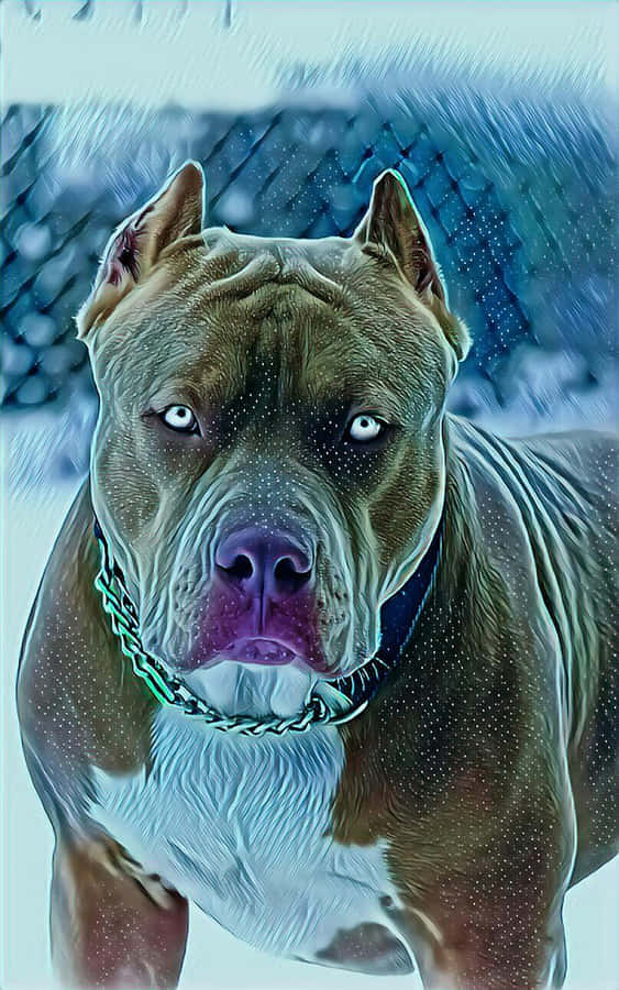 Dog Pitbull Snowy Area Wallpaper