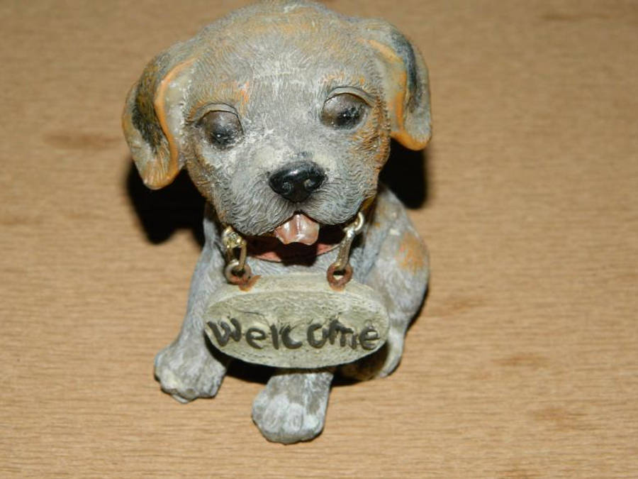 Dog With Welcome Sign Wallpaper