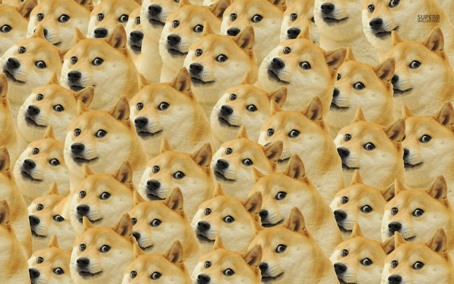 Doge Meme Faces Pattern Wallpaper