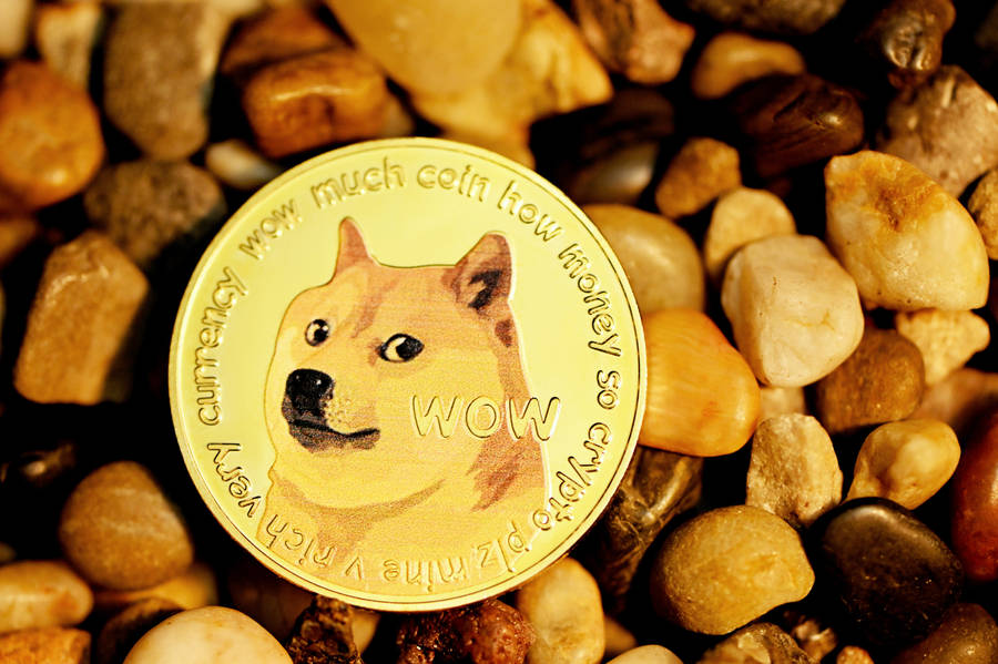 Dogecoin In Pebbles Wallpaper