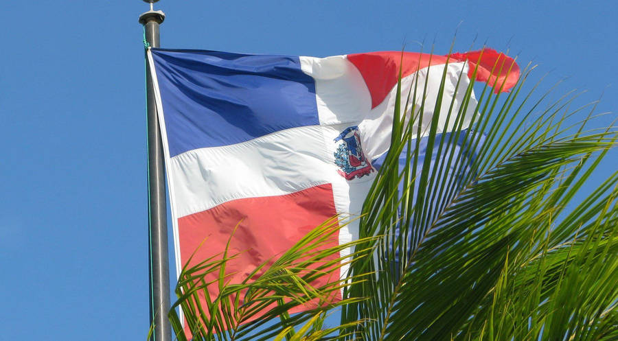 Dominican Republic Palm Tree Flag Wallpaper