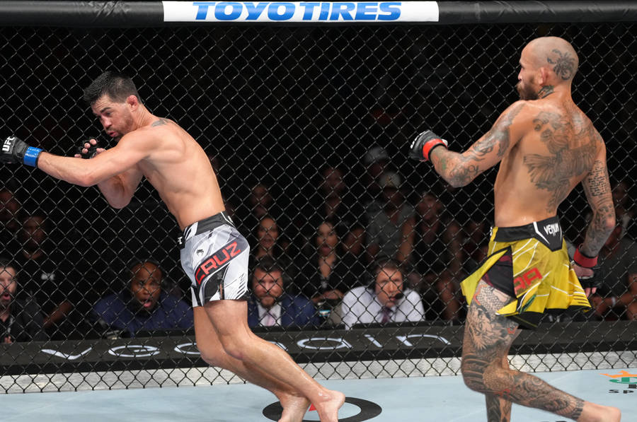 Dominick Cruz Vs Marlon Vera Wallpaper