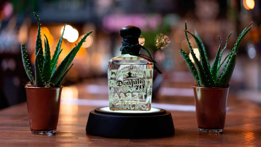 Don Julio Tequila With Tiny Plants Wallpaper