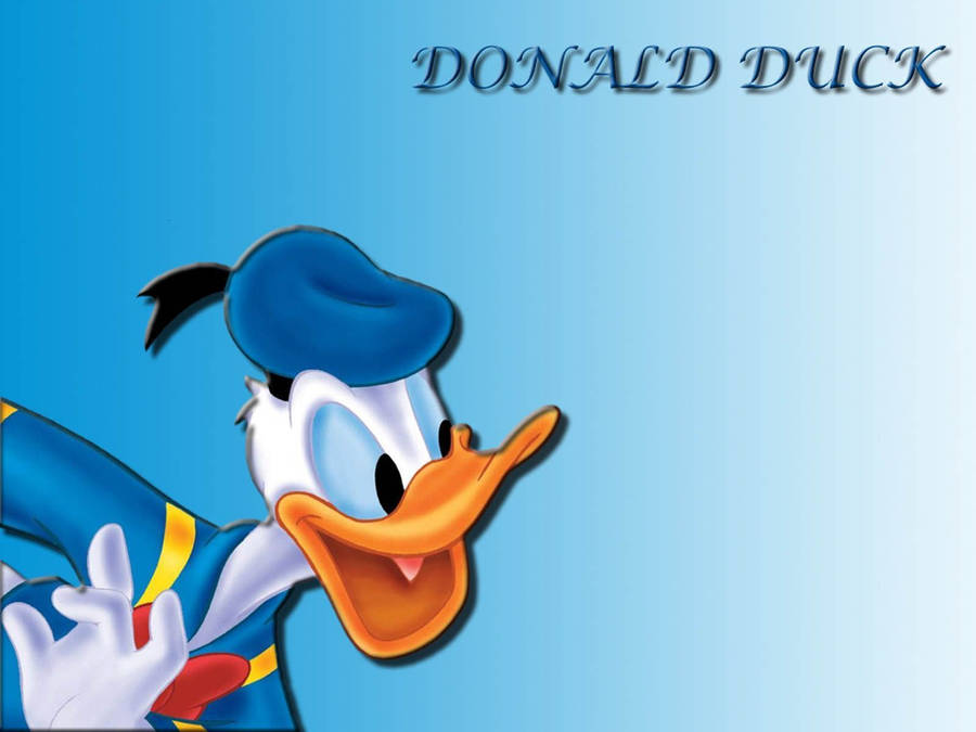 Donald Duck Blue Background Wallpaper