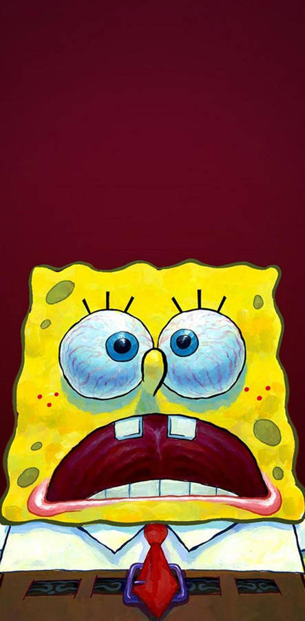 Download Funny Spongebob Wallpaper Wallpaper