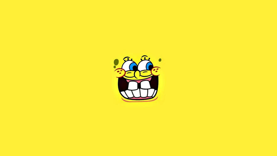 Download Funny Spongebob Wallpaper Wallpaper