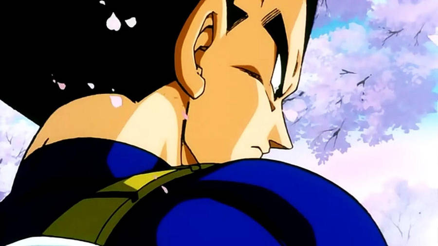 Dragon Ball Z Vegeta Wallpaper Wallpaper