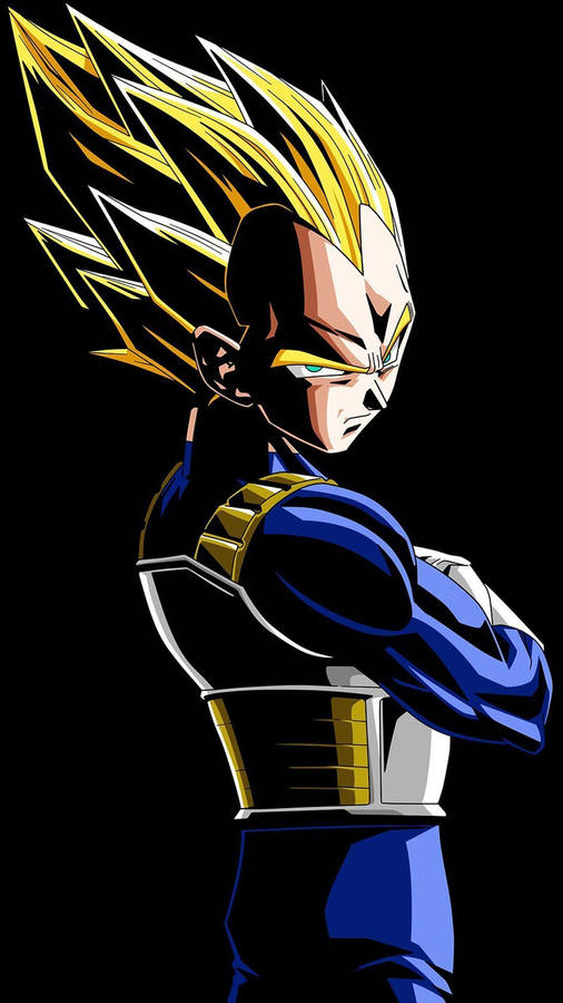 Dragon Ball Z Warrior Vegeta Wallpaper