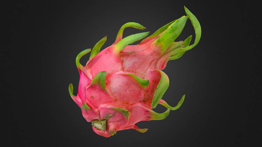 Dragonfruit Fruit Close Up Photography Wallpaper