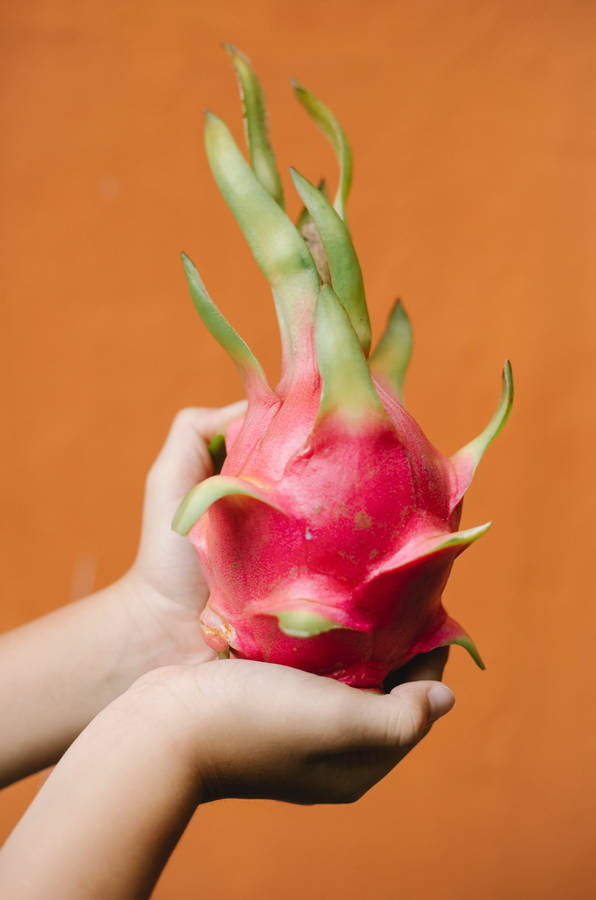 Dragonfruit Whole Fruit Food Photography Wallpaper