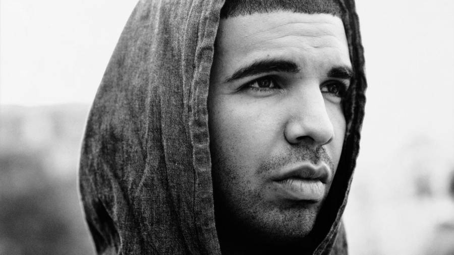 Drake Close-up Photo Wallpaper