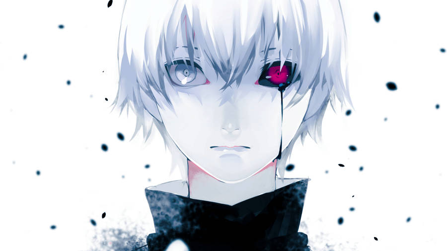 Dramatic Beauty - Anime Character Kaneki In Action Wallpaper