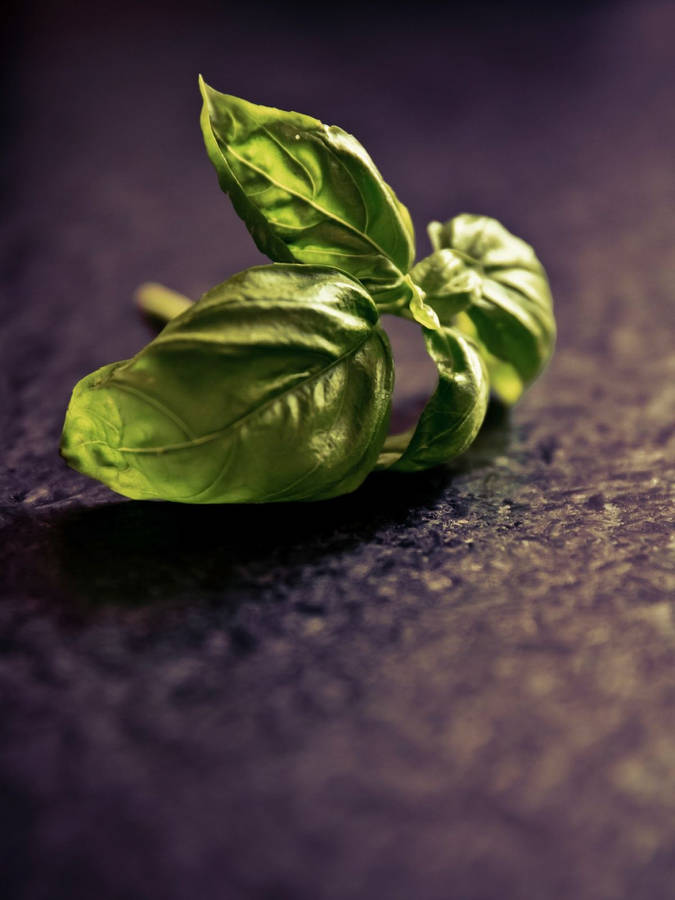 Dried Basil Herb Leaves Close Up Wallpaper